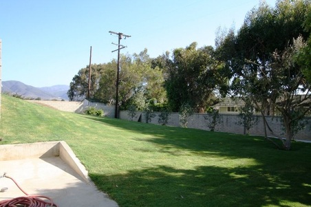 Enlarge photo 82