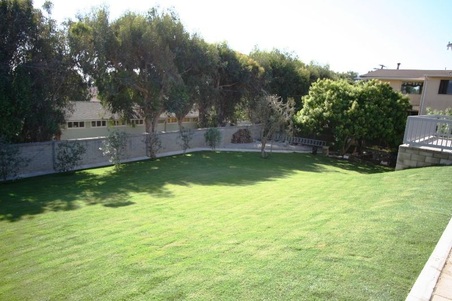 Enlarge photo 90