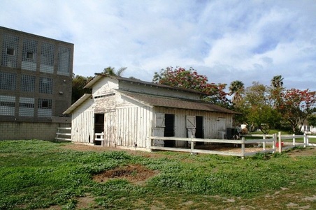Enlarge photo 107