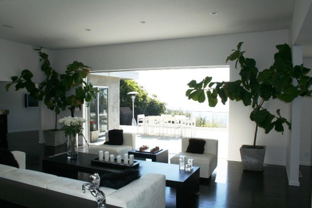 Enlarge photo 13