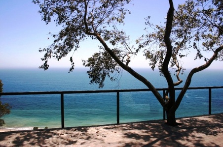 Enlarge photo 16
