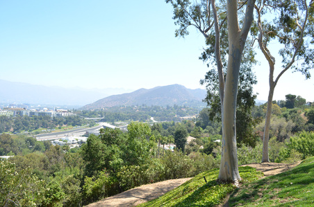 Enlarge photo 10