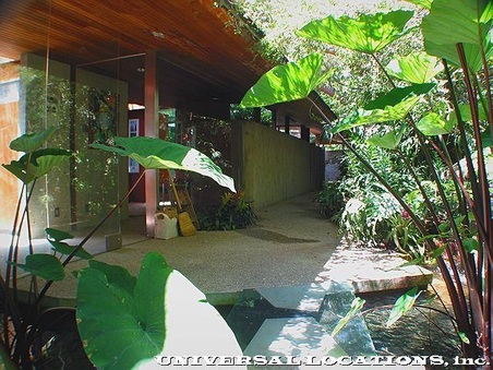 Enlarge photo 93