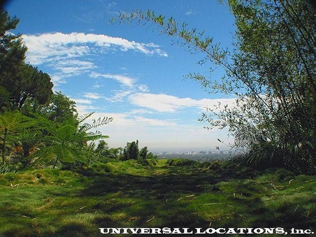 Enlarge photo 125