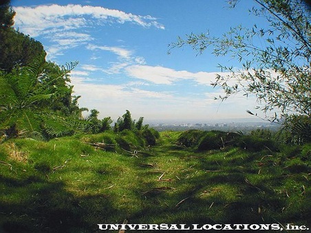 Enlarge photo 126
