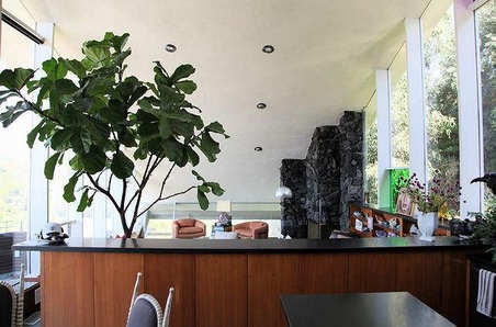 Enlarge photo 34