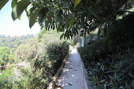 Enlarge photo 117