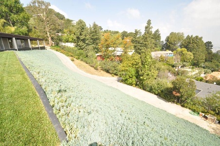 Enlarge photo 34