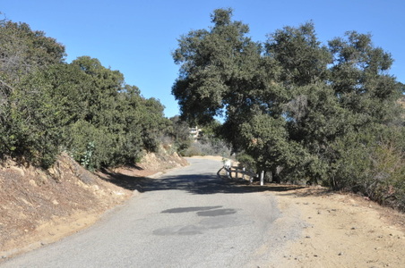 Enlarge photo 4