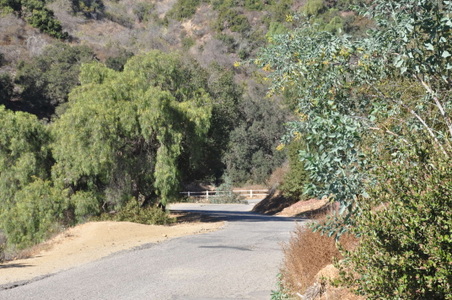Enlarge photo 10