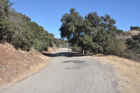 Enlarge photo 11