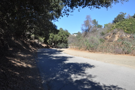 Enlarge photo 12