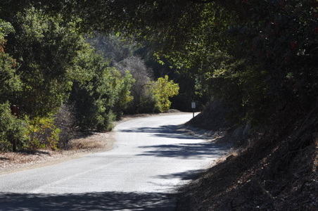 Enlarge photo 14