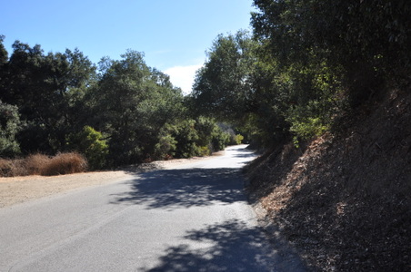 Enlarge photo 15