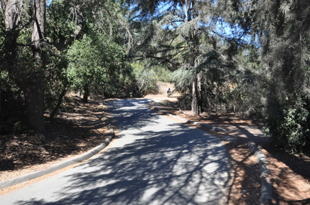 Enlarge photo 18