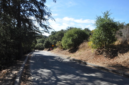 Enlarge photo 20