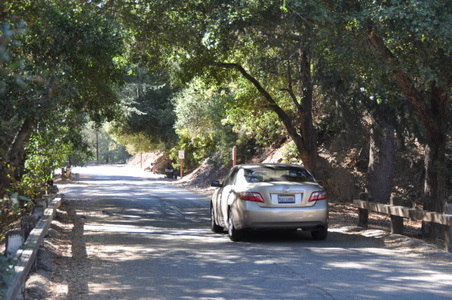 Enlarge photo 23