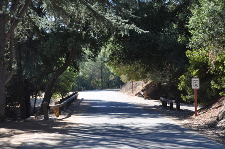 Enlarge photo 26