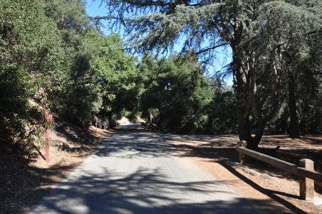 Enlarge photo 27