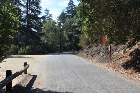 Enlarge photo 29