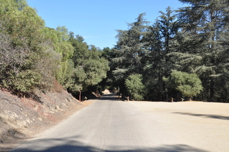 Enlarge photo 28