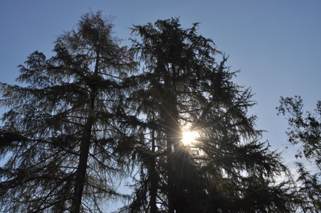 Enlarge photo 31