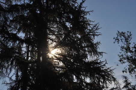 Enlarge photo 32