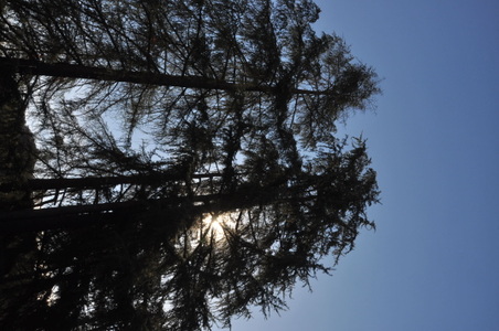 Enlarge photo 33