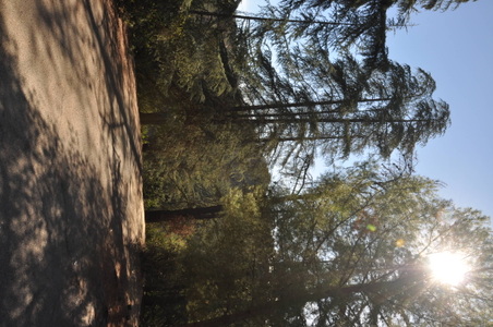 Enlarge photo 34