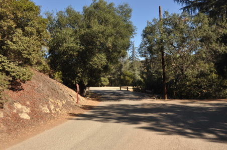 Enlarge photo 35