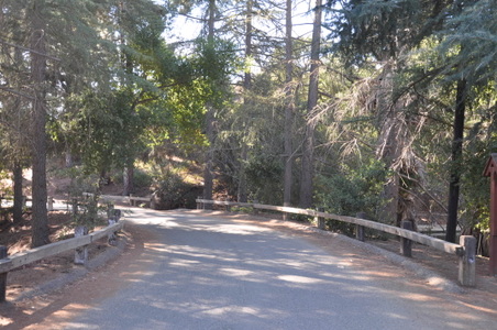 Enlarge photo 36