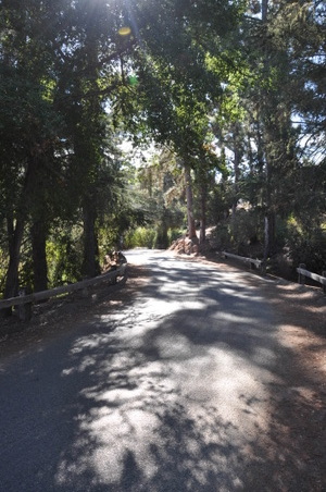 Enlarge photo 37