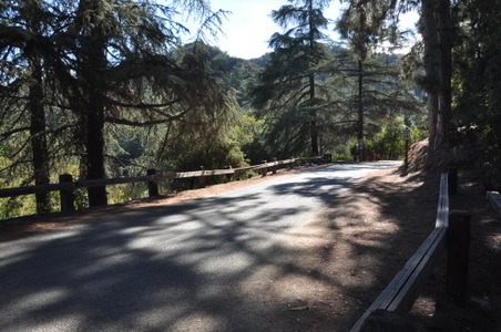 Enlarge photo 39