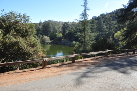 Enlarge photo 40