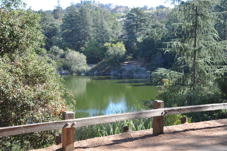 Enlarge photo 41