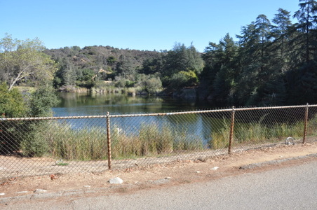 Enlarge photo 45