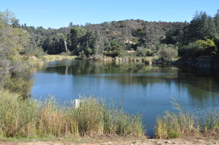 Enlarge photo 44
