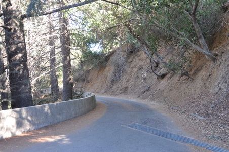 Enlarge photo 48