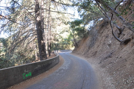 Enlarge photo 51