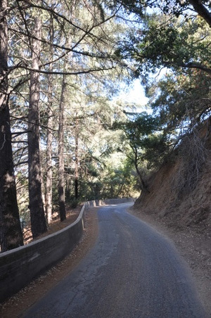 Enlarge photo 52