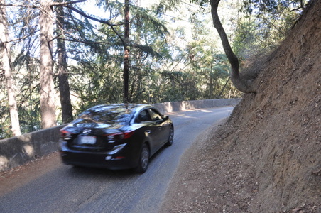 Enlarge photo 53