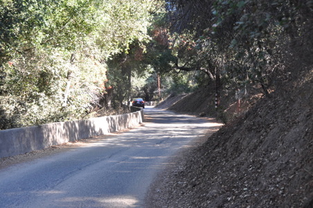 Enlarge photo 54