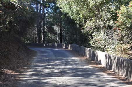 Enlarge photo 57