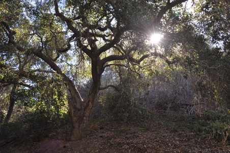 Enlarge photo 58
