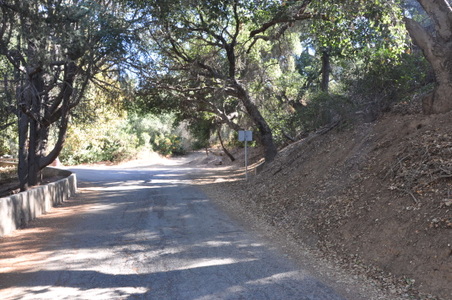 Enlarge photo 59