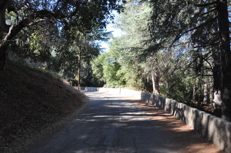 Enlarge photo 61