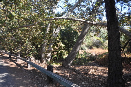 Enlarge photo 62