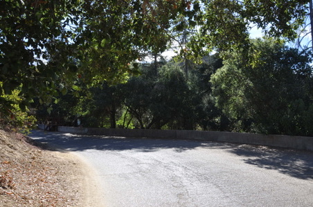 Enlarge photo 68