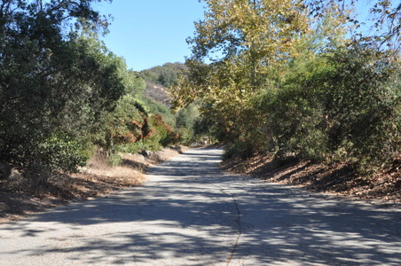 Enlarge photo 72
