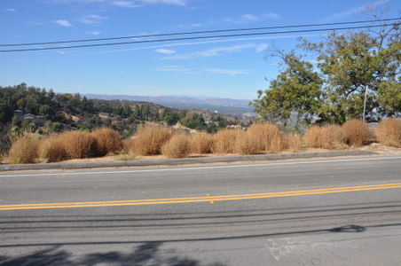 Enlarge photo 25